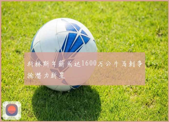 科林斯年薪或达1600万公牛马刺争抢潜力新星